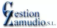 Gestion Zamudio Colaborador SD Zamudio